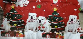 Karácsonyi ágynemű, karácsonyos ágynemű, bulldog